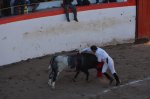 Corrida de Toros